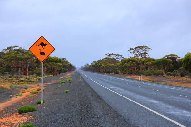 istock Across Australian outback in the rain 1285803899