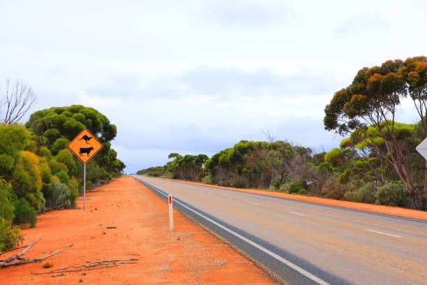 istock Across Australian outback in the rain 1285806646
