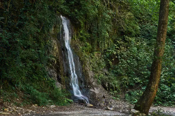 Photo of waterfall flows down from a cliff in a mountain rainforest