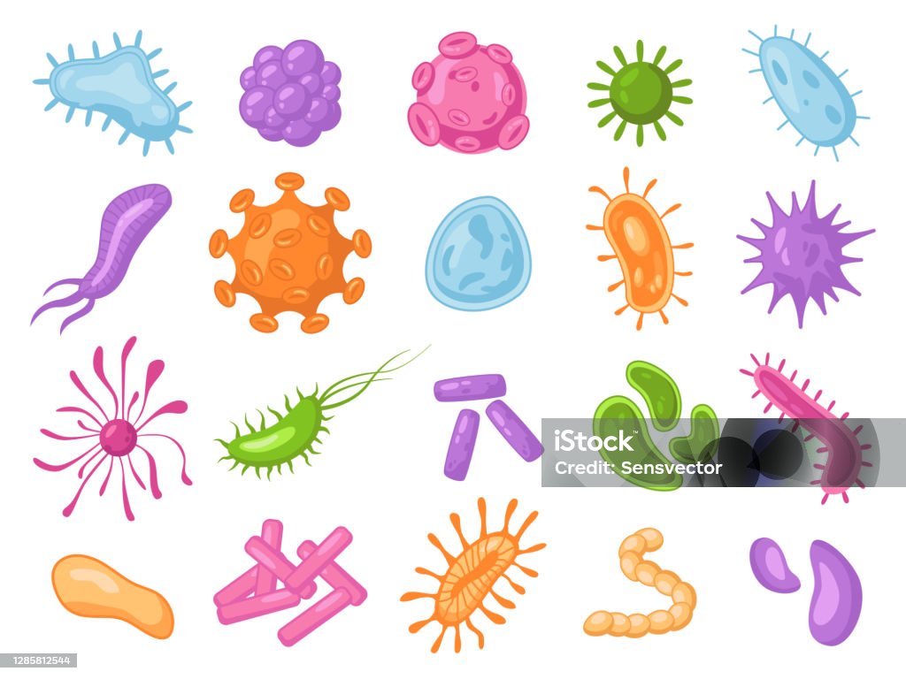 Seperangkat bakteri marah, mikroba dan kuman terisolasi. Virus biologis vektor, mikroba patogen bakteri lonjong. Warna kartun mikroorganisme, influenza mikroskopis, demam dan sel coronavirus - Bebas Royalti Bacillus Megaterium vektor stok