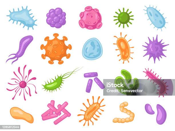 Seperangkat Bakteri Marah Mikroba Dan Kuman Terisolasi Virus Biologis Vektor Mikroba Patogen Bakteri Lonjong Warna Kartun Mikroorganisme Influenza Mikroskopis Demam Dan Sel Coronavirus Ilustrasi Stok - Unduh Gambar Sekarang