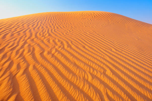 istock Golden  desert sand texture as background 1285812571