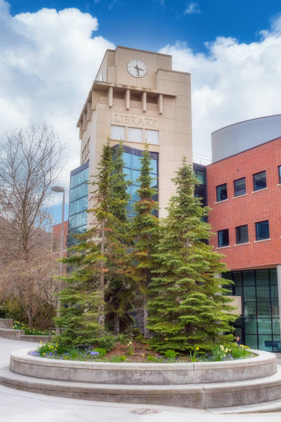 istock Building labeled Library with Pine trees in a planter box 1285812594
