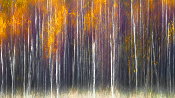 istock Autumnal textural scenic background with motion blur, toned in vintage style 1285813563