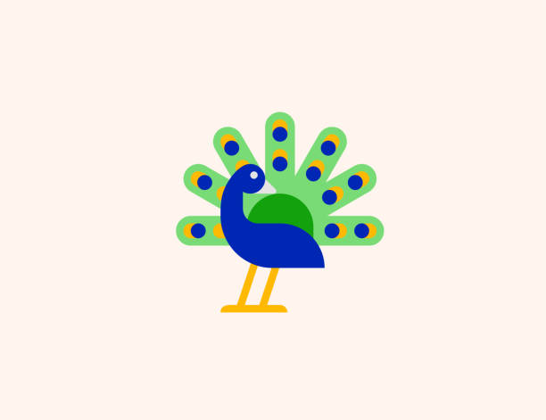 Cartoon Peacock Stock Photos, Pictures & Royalty-Free Images - iStock