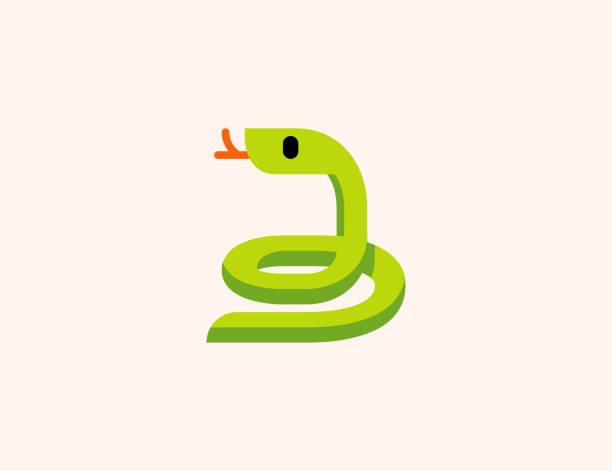 illustrations, cliparts, dessins animés et icônes de icône vectorielle de serpent. cobra isolé ou symbole plat de couleur de serpent vert d’anaconda - snake cobra vector animal