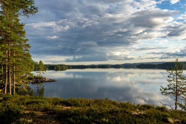 istock View over Lake Yngen, Sweden 1285817570