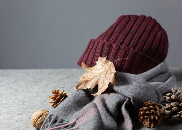 istock Autumn theme. Knitted hat, scarf, cones, autumn leaf on a gray background. 1285817585