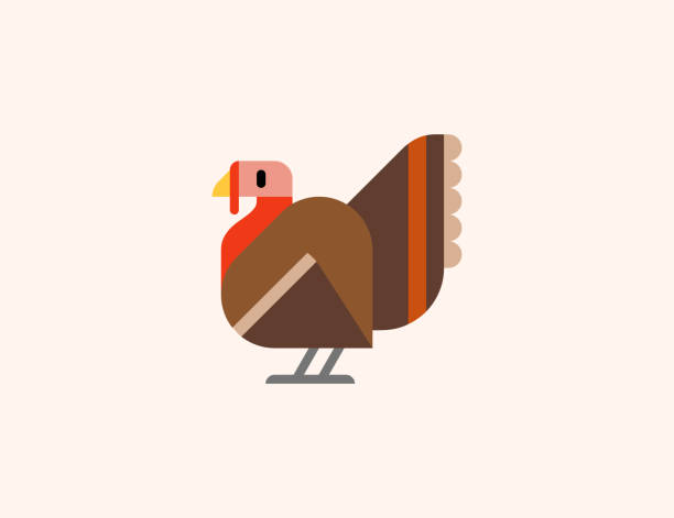 土耳其動物病媒圖示。孤立的土耳其動物鳥平色符號 - turkey 幅插畫檔、美工圖案、卡通及圖標
