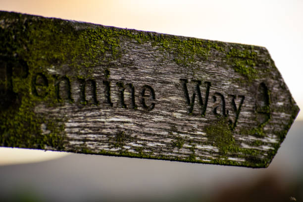 istock Yorkshire Dales and the Pennine Way 1285819033
