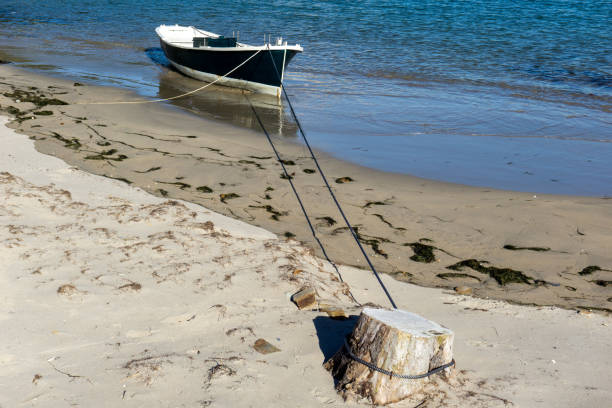 A single small fishing rowboat anchored on a tree stump on a sandy beach