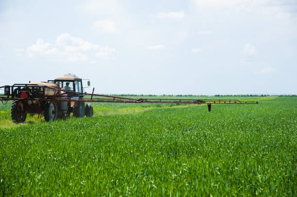 istock Tractor spraying wheat field with sprayer 1285820796