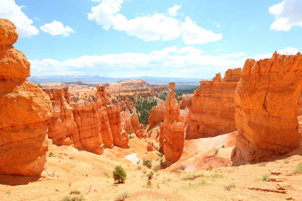 istock Bryce Canyon National Park landscape, Utah, USA 1285821014
