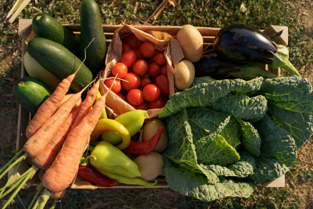 istock Farmer holds a box of vegetables. Autumn harvest. 1285823488