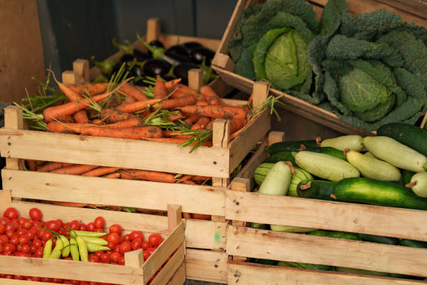 유기농 야채 전달 개념 - zucchini vegetable food crate 뉴스 사진 이미지