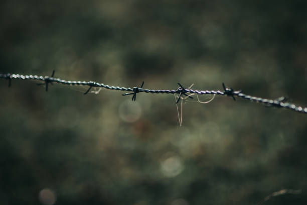 istock Close-up of barbed wire in autumn 1285823562