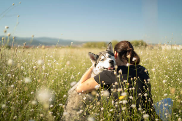 istock Young woman with Siberian husky walking 1285823591