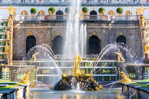 St. Petersburg, Russia - June 2019: Samson fountain in Lower park of Peterhof