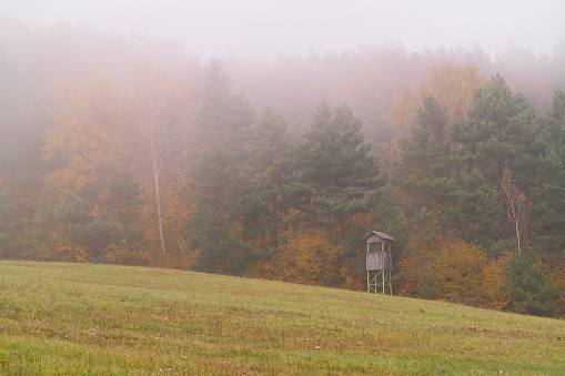 Fog during fall season can be wonderful in nature. Autumn is the most colorful season of the year