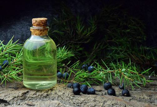 juniper oil aromatherapy