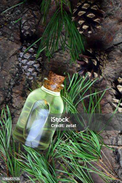 Pine Aroma Oil Organic Bio Stock Photo - Download Image Now - Alternative Medicine, Alternative Therapy, Aromatherapy