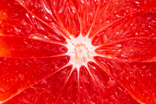 Grapefruit citrus fruit half cut macro texture detail full frame cross section