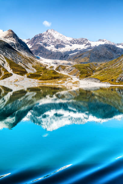 글레이시 베이 국립공원 알래스카 크루즈 휴가 - glacier bay national park 뉴스 사진 이미지