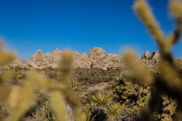 A view of the famous Mojave desert