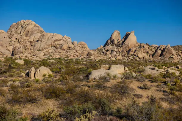 A view of the famous Mojave desert