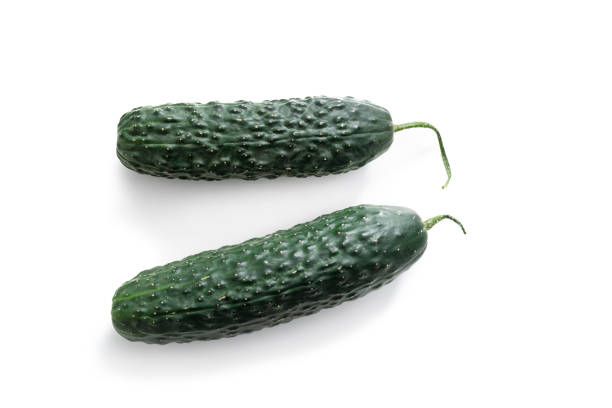 Kirby cucumbers two pieces isolated on white background with shadow