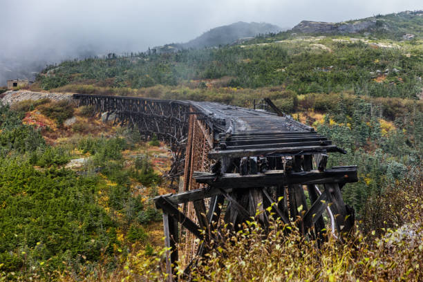 White Pass and Yukon Route Railway Skagway Alaska Old steel bridge on White Pass and Yukon Route Railway train ride, Skagway, Alaska, USA. Constructed in 1901. Famous tourist attraction on cruise shore excursion. alaska gold rush stock pictures, royalty-free photos & images
