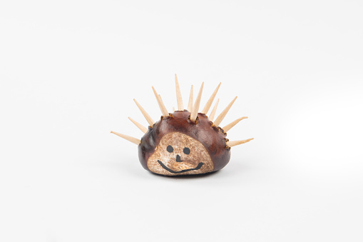 Chestnut figure on the white background. Hedgehog created by child. Great idea for encourage children creativity. Natural toys.
