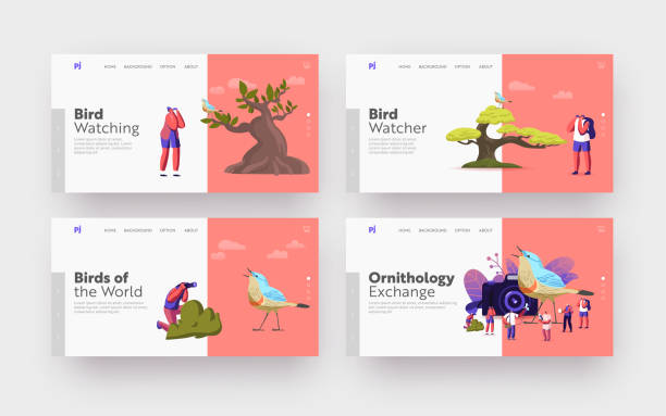 Ornithology Landing Page Template Set. Ornithologists Characters Use Binoculars, Camera and Equipment for Watching Birds Birding, Ornithology Landing Page Template Set. Ornithologists Characters Use Binoculars, Camera and Equipment Watching Birds. Observation in Natural Habitats Hobby. Cartoon People Vector Illustration bird watching photos stock illustrations