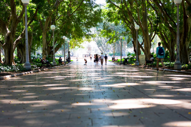 ハイドパークで晴れた日を楽しむ人々、コピースペース付きの背景 - city street street walking tree ストックフォトと画像