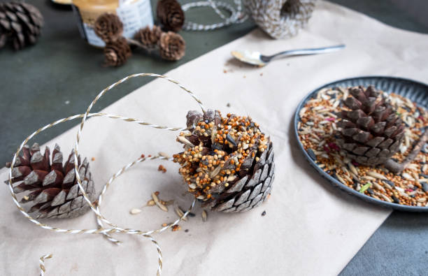Making bird feeders out of pine cones stock photo