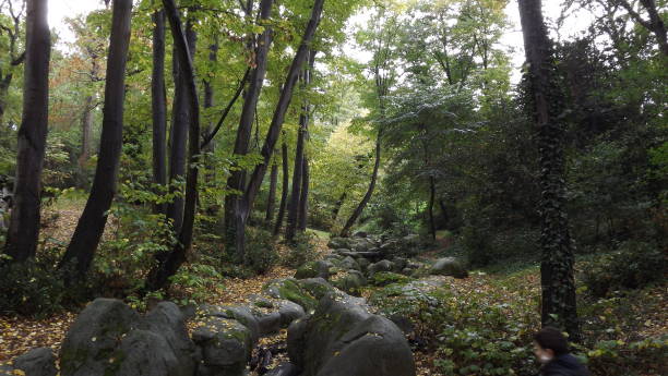 istock Nature,Autumn,Landscape,Scenics 1285832048