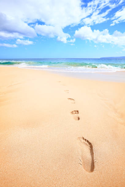 istock Beach travel vacation concept - footsteps in sand 1285832132