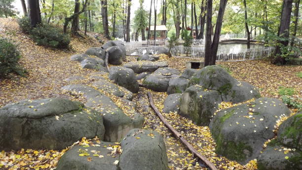 Nature,Autumn,Landscape,Scenics