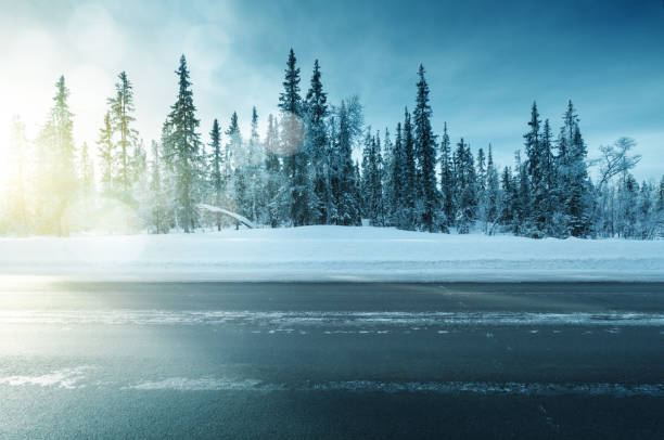 istock road in winter forest, sunset time 1285833124