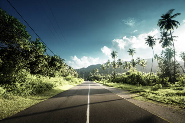 istock empty road in jungle of Seychelles islands 1285833137