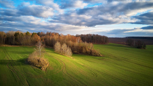 istock Agricultural light and shadow background. Tranquil farmland scene 1285833361