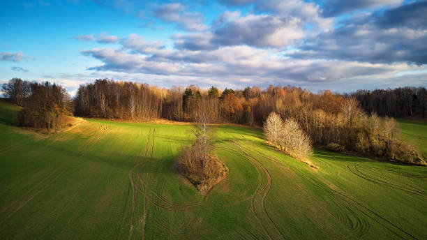 istock Picturesque November landscape. Rural Rolling Hills 1285833363