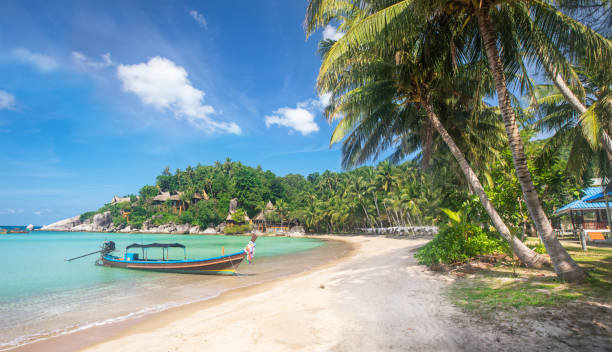 istock Tropical beach with coconut palm and longtail boat 1285833583