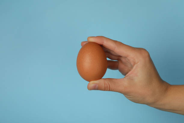 istock Female hand hold boiled egg on blue background 1285834779