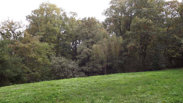 istock Nature,Autumn,Landscape,Scenics 1285834894