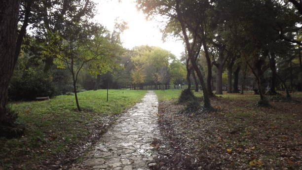 istock Nature,Autumn,Landscape,Scenics 1285835117