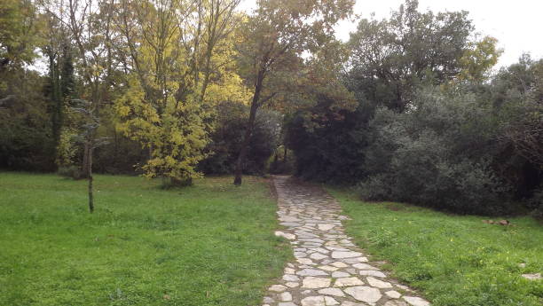 istock Nature,Autumn,Landscape,Scenics 1285835953