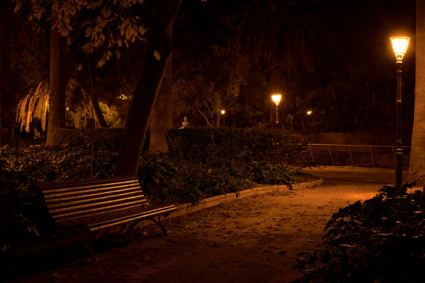 samotna ławka, w parku w nocy - tree ring zdjęcia i obrazy z banku zdjęć