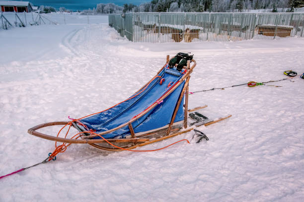 Photo of beautiful standalone wooden sled for dog sledding. Typical traditional old construction for winter racing in Lapland, Sweden. Front side view Photo of beautiful standalone wooden sled for dog sledding. Typical traditional old construction for winter racing in Lapland, Sweden. Front side view dogsledding stock pictures, royalty-free photos & images