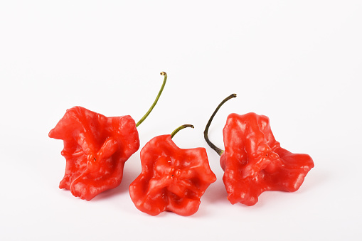 Red chili peppers on the white background, red hot peppers on the white background